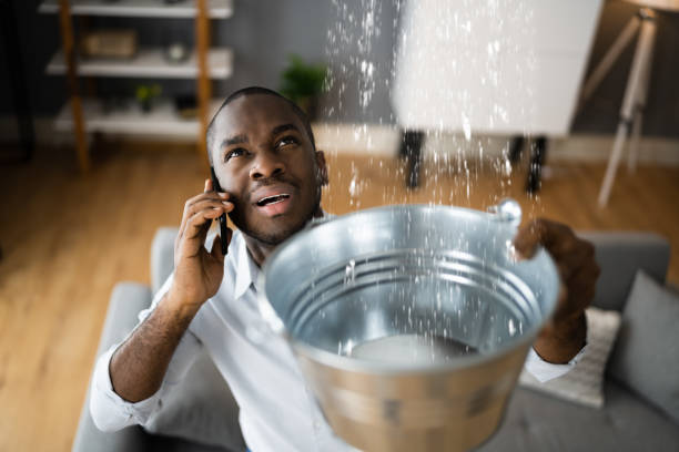 Best Flood restoration services  in Portage Lakes, OH