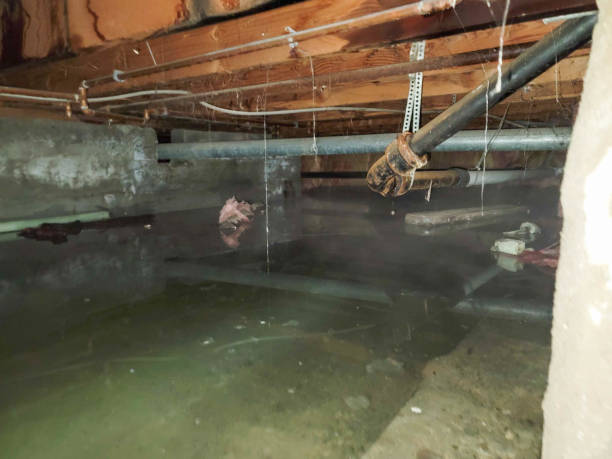 Best Residential water damage restoration  in Portage Lakes, OH