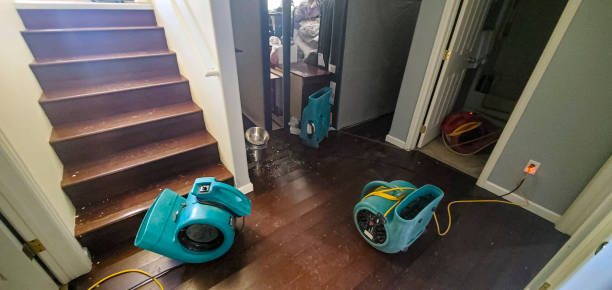  Portage Lakes, OH Water damage restoration Pros