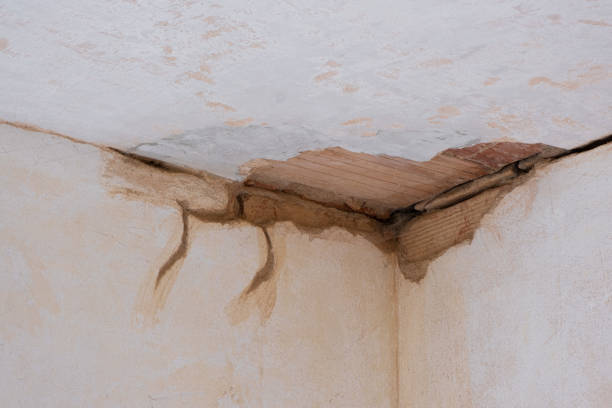 Best Flooded house restoration  in Portage Lakes, OH