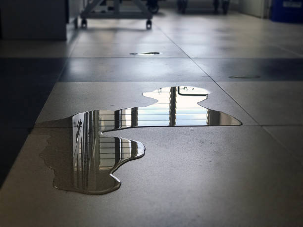 Best 24-hour water damage restoration  in Portage Lakes, OH