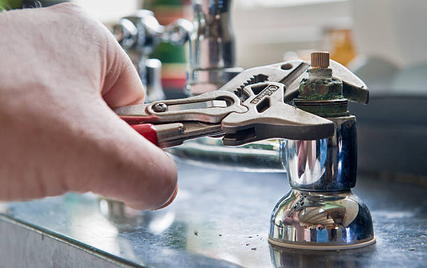 Best Mold removal after water damage  in Portage Lakes, OH