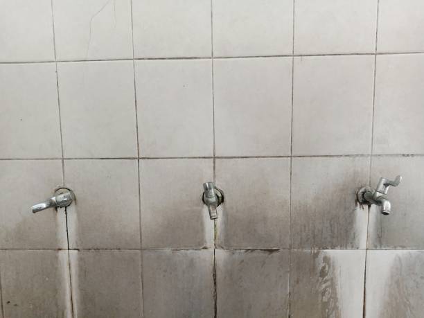 Best Water damage restoration services  in Portage Lakes, OH